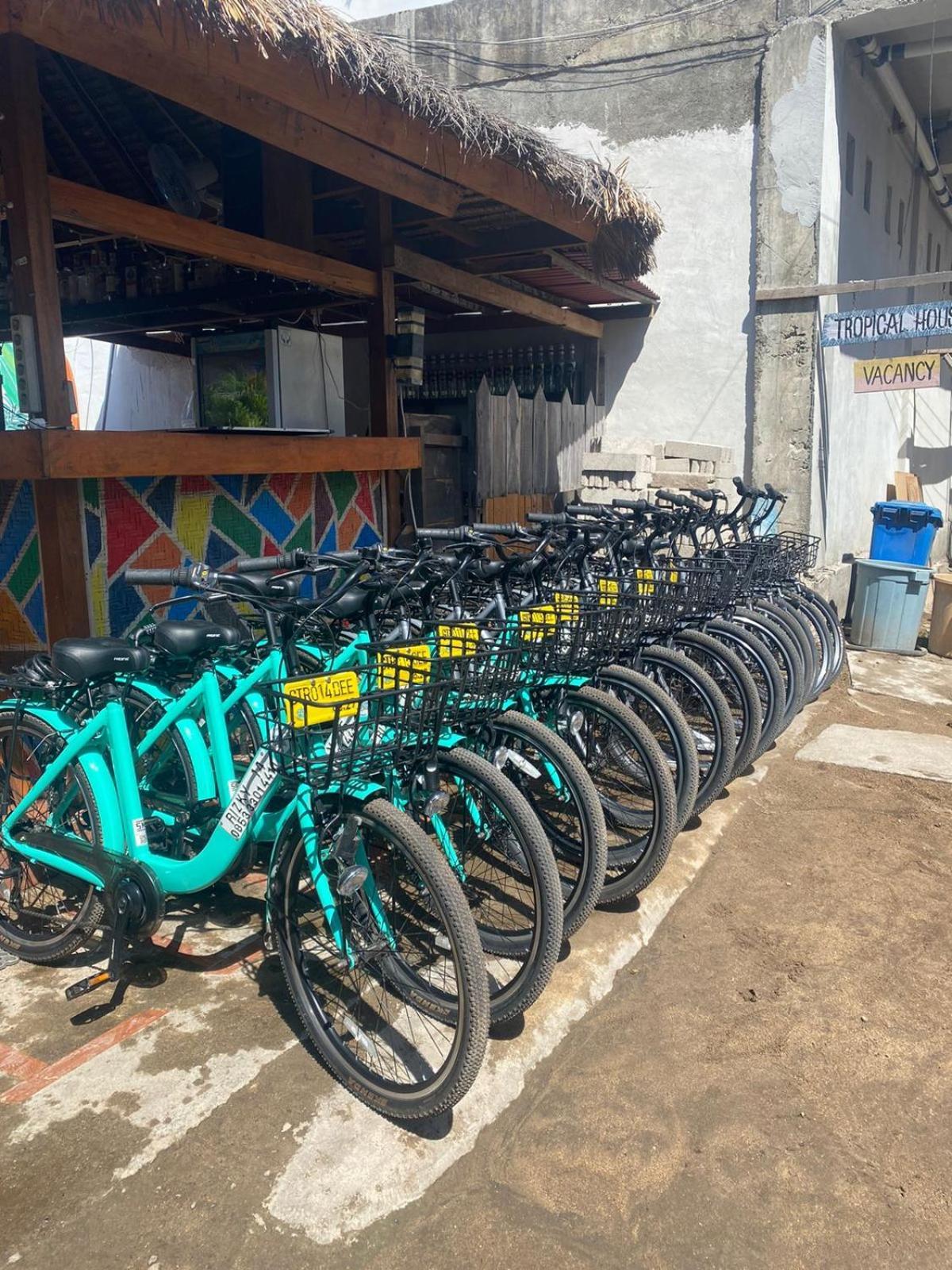 Tropical House Privatunterkunft Gili Trawangan